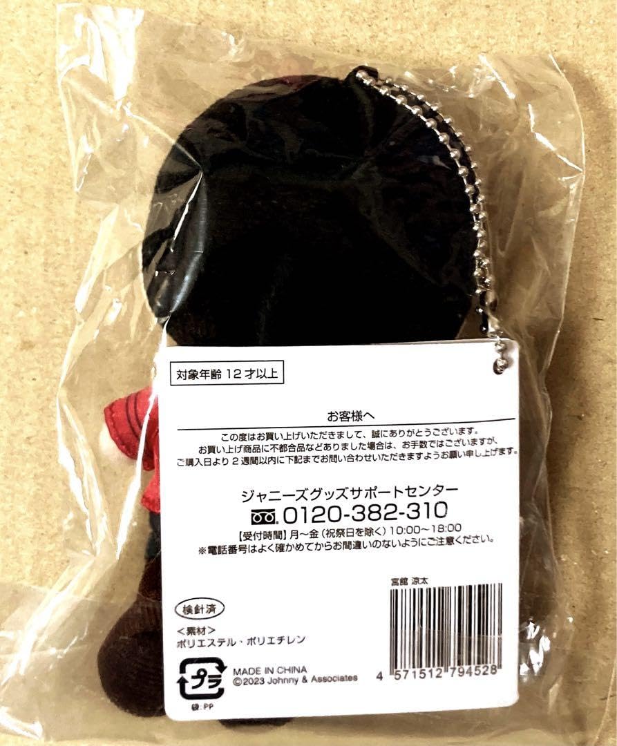 Amazon.co.jp: Snow Man 1st DOME 2023 i DO ME 舘様 チビぬい : おもちゃ